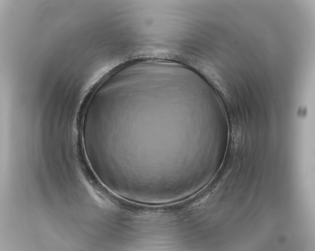 X0000091480674200709061840