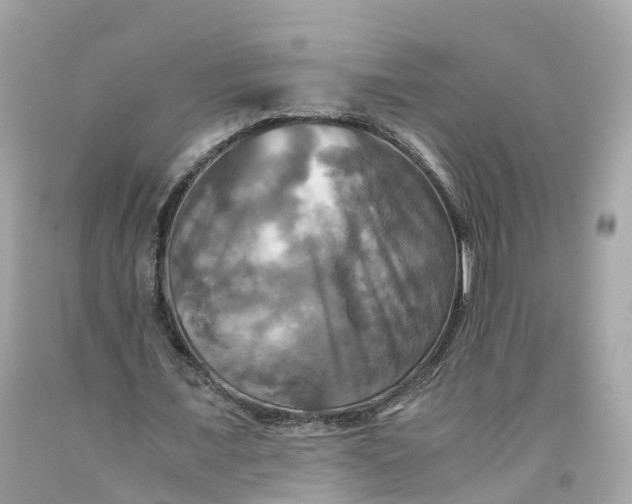 X0000091480675200709061840