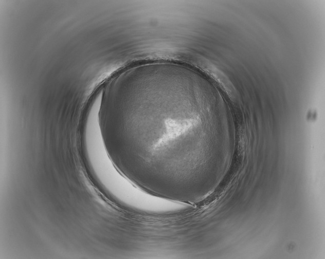 X0000091480677200709061840