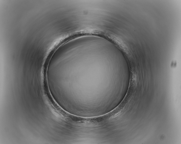 X0000091480678200709061840