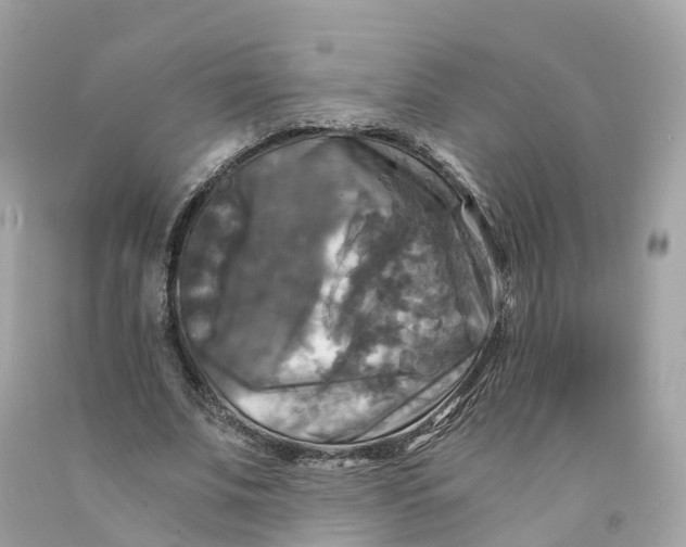 X0000091480679200709061840