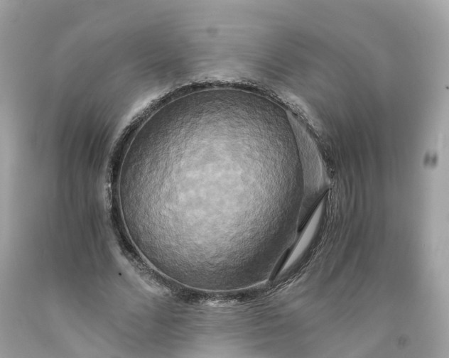 X0000091480680200709061840