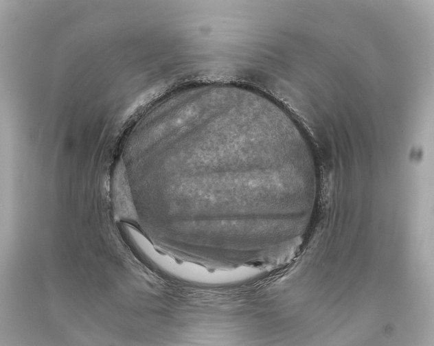 X0000091480681200709061840