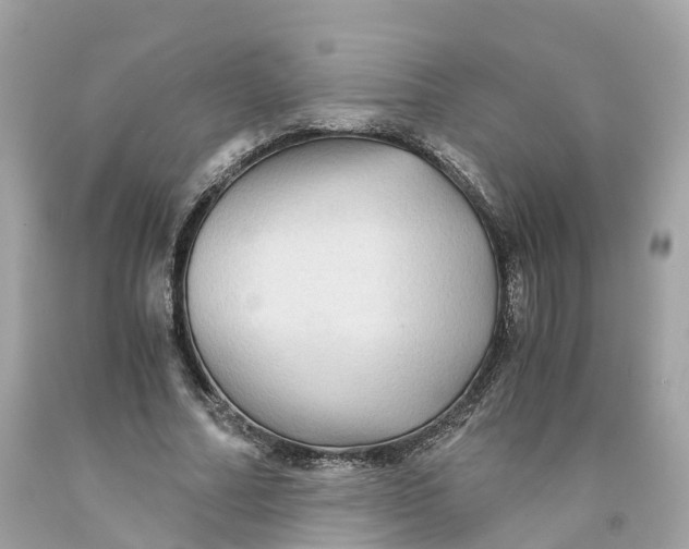 X0000091480682200709061840