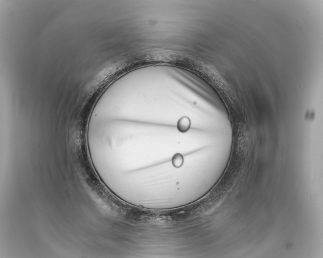 X0000091480683200709061840