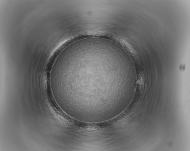 X0000091480684200709061840