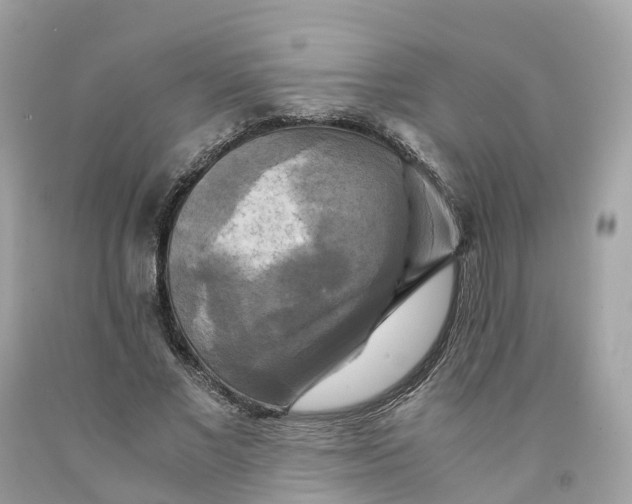 X0000091480685200709061840