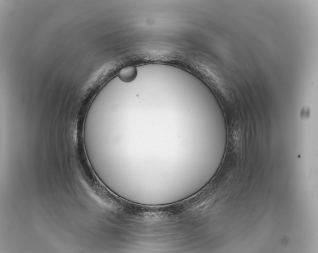 X0000091480686200709061840