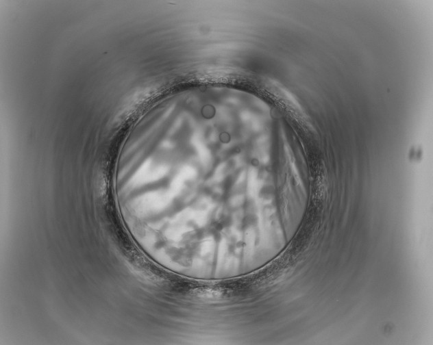 X0000091480687200709061840