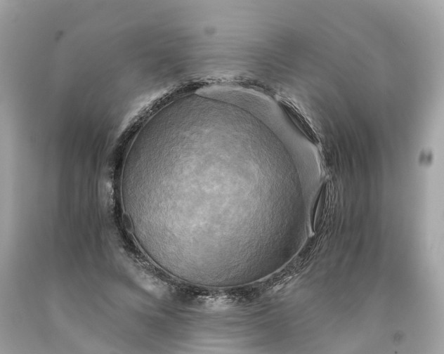 X0000091480688200709061840