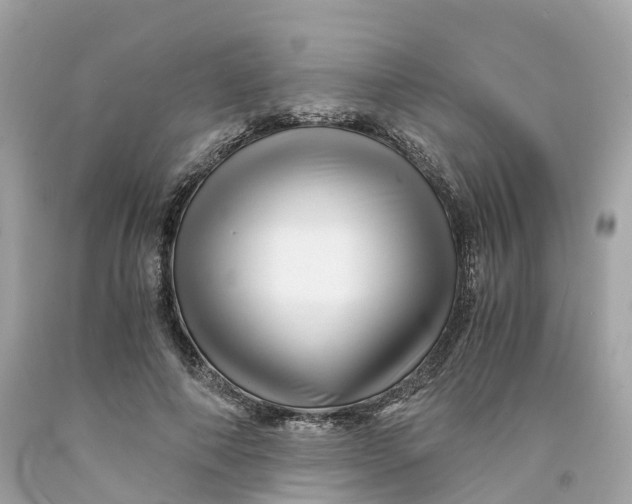 X0000091480690200709061840