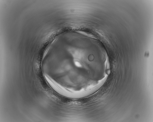 X0000091480691200709061840