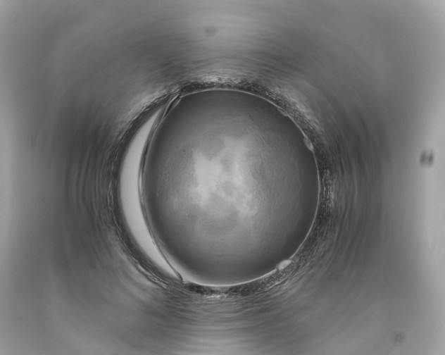 X0000091480692200709061840