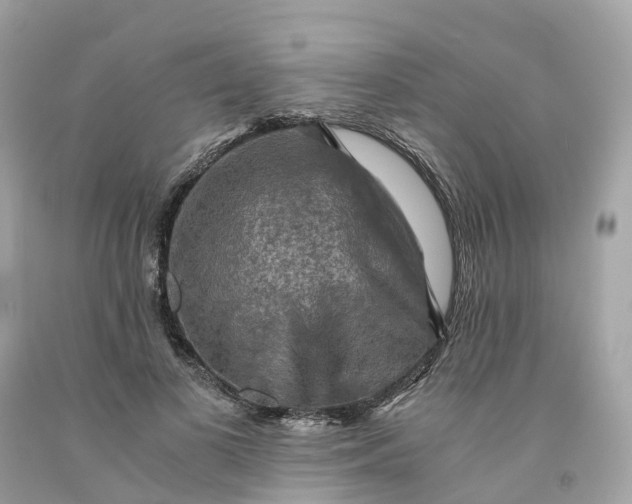 X0000091480693200709061840