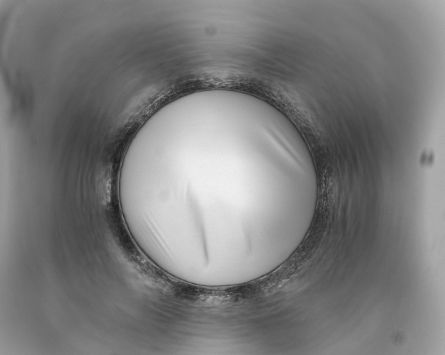 X0000091480694200709061840