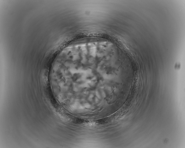 X0000091480695200709061840