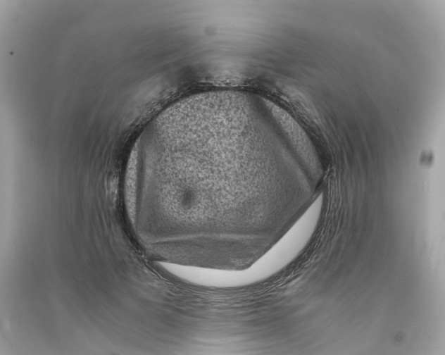 X0000091480697200709061840