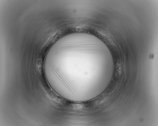 X0000091480698200709061840