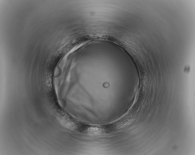 X0000091480699200709061839