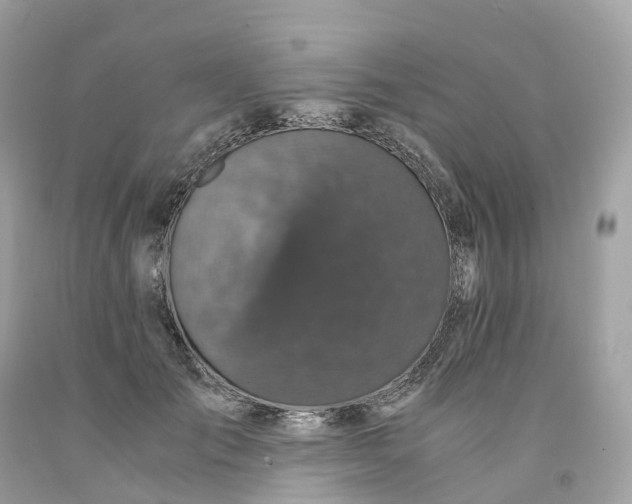 X0000091480701200709061839