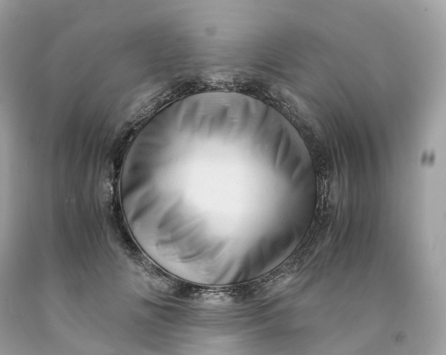 X0000091480702200709061839