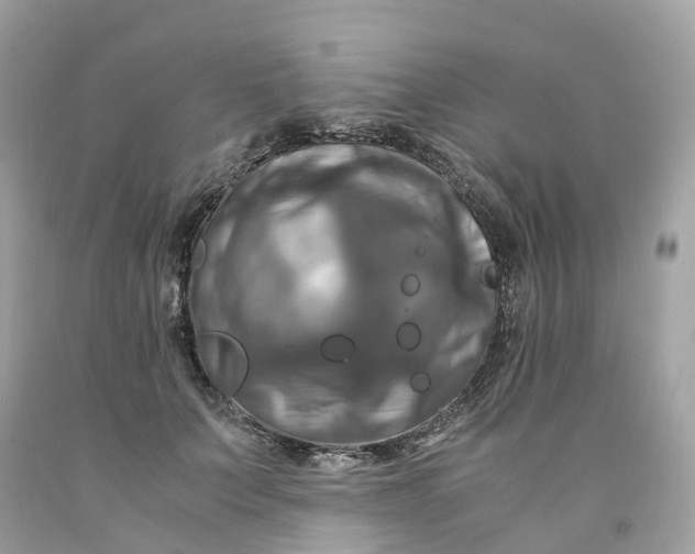 X0000091480703200709061839