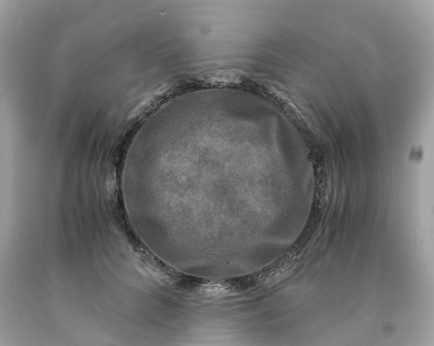 X0000091480704200709061839