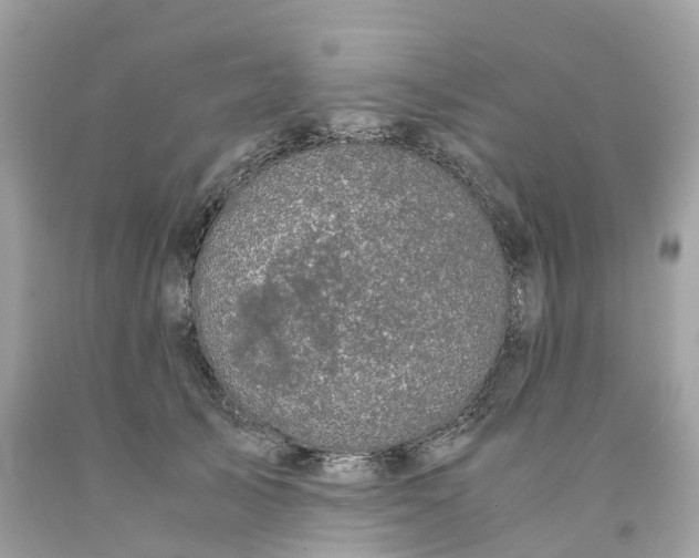 X0000091480705200709061839