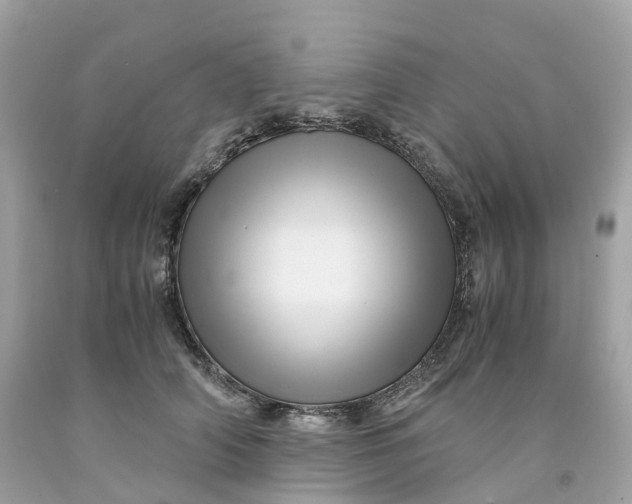 X0000091480706200709061839