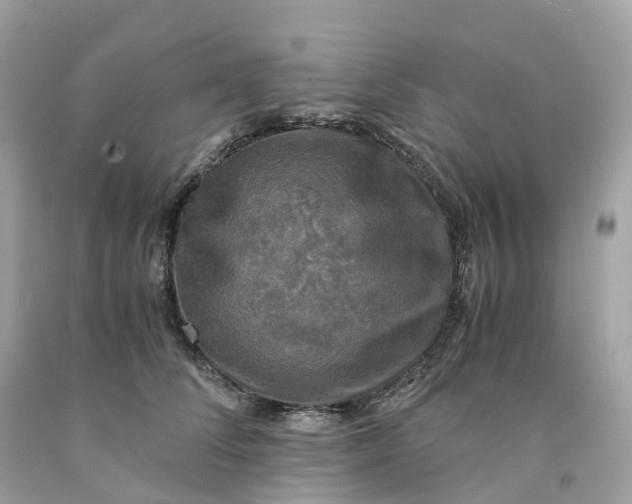 X0000091480708200709061839