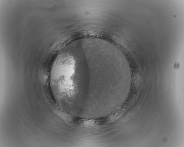 X0000091480709200709061839