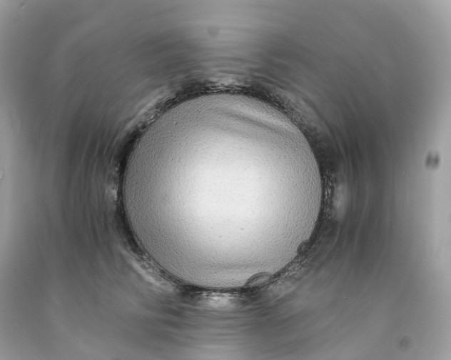 X0000091480710200709061839