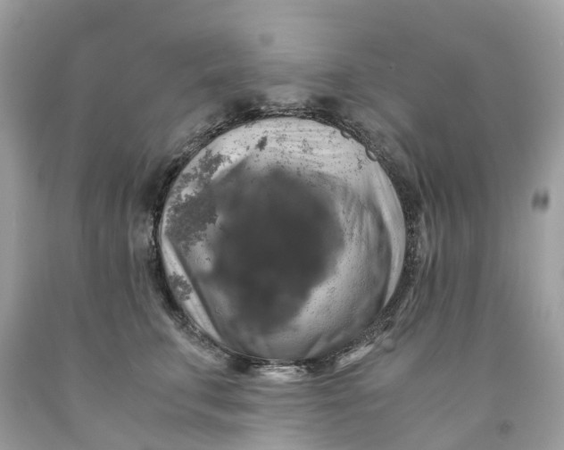 X0000091480711200709061839