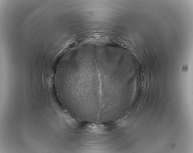 X0000091480712200709061839