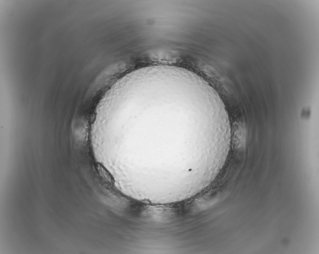 X0000091480713200709061839