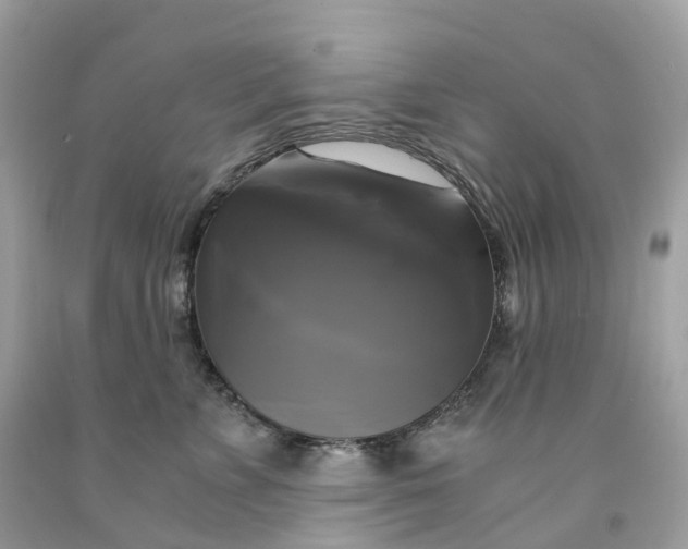 X0000091480715200709061839