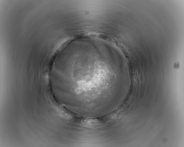 X0000091480716200709061839