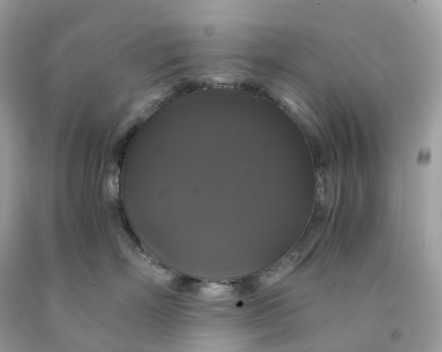 X0000091480718200709061839