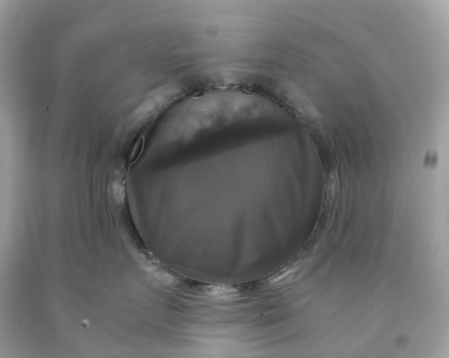 X0000091480719200709061839