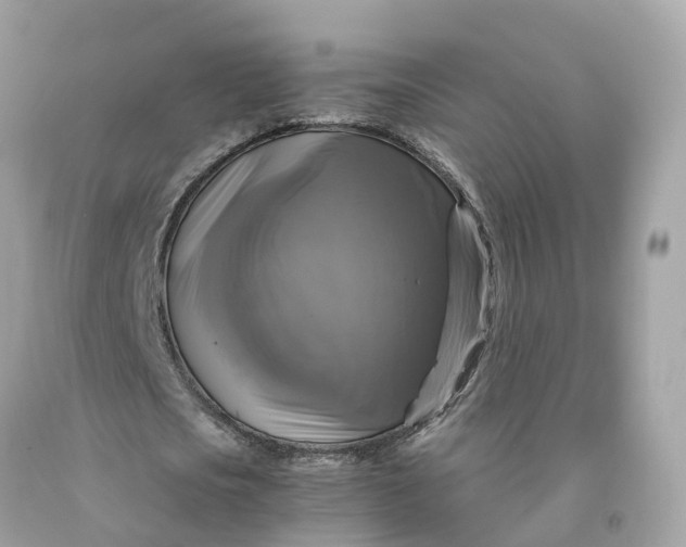 X0000091480721200709061838