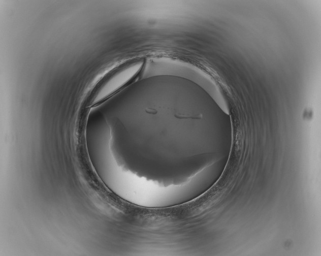 X0000091480722200709061838