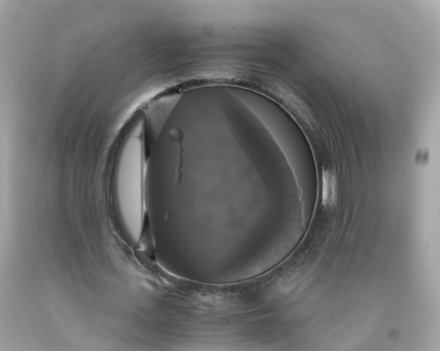 X0000091480723200709061838