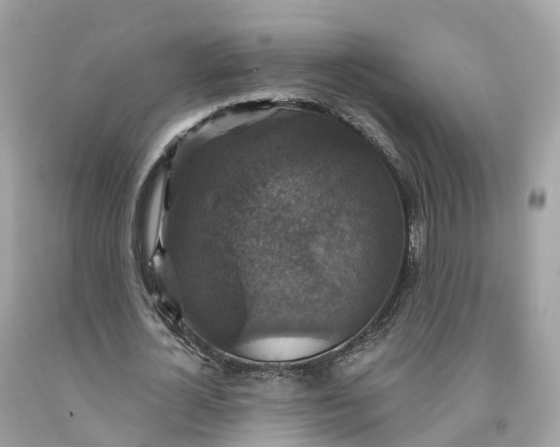 X0000091480724200709061839