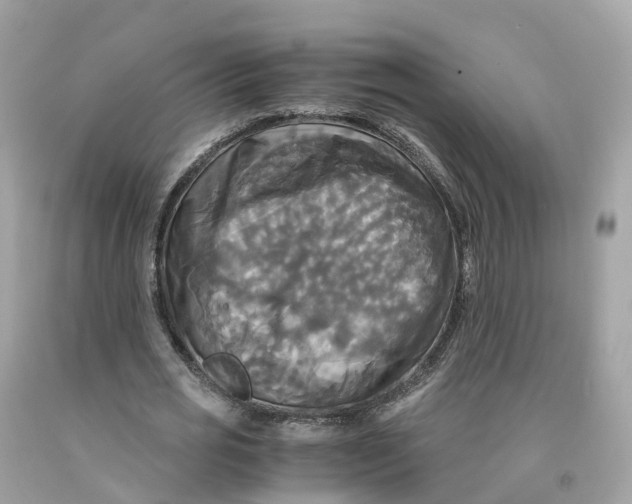 X0000091480725200709061839