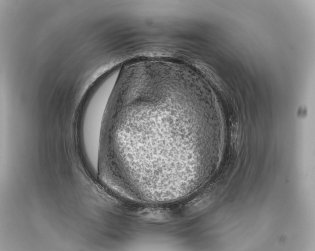 X0000091480727200709061839