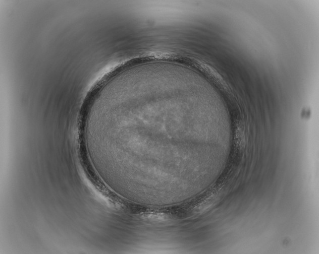 X0000091480730200709061839