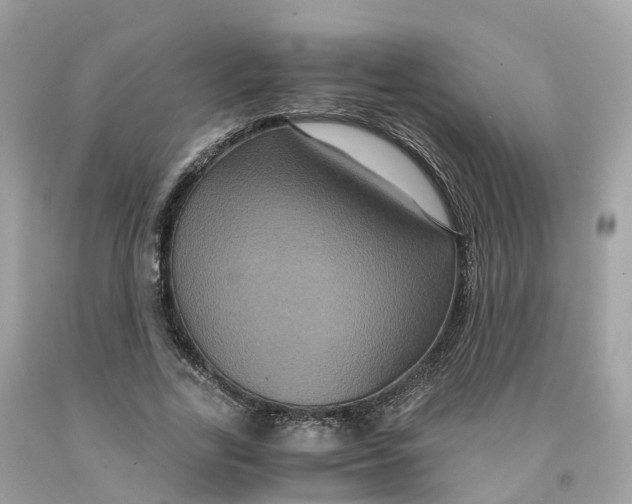 X0000091480731200709061839