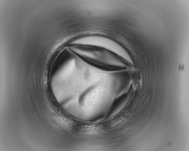 X0000091480732200709061839