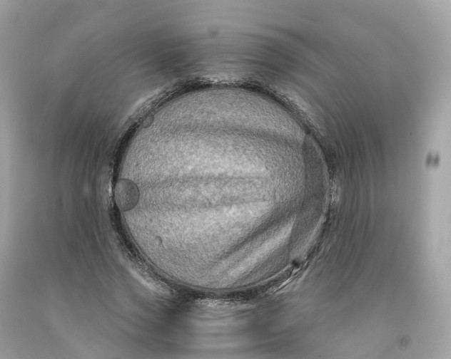 X0000091480733200709061839