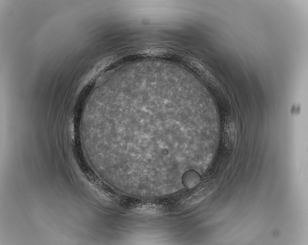 X0000091480734200709061839